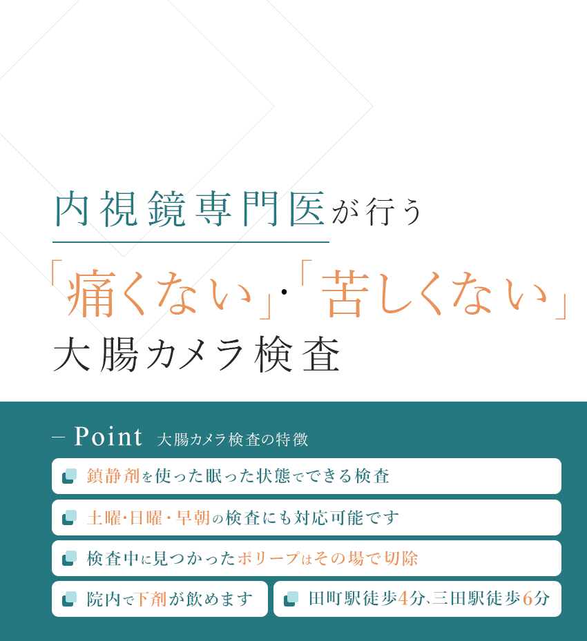 内視鏡専門医が行う「痛くない」・「苦しくない」大腸カメラ検査